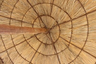 Quels sont les critères déterminants dans le choix d’un stand parapluie ?