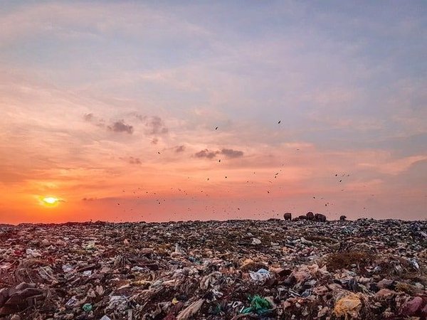 A qui faire appel pour une réhabilitation de terrains pollués ?