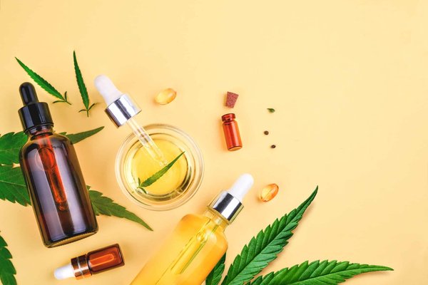 Les miracles d'une plante verte pour vous détendre après une journée de travail dure et stressante